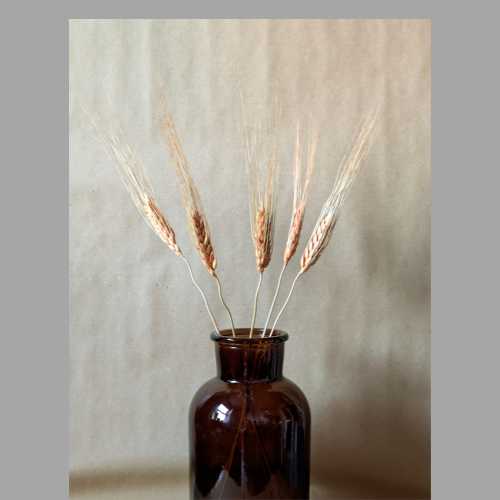 dried flower brown glass round vase