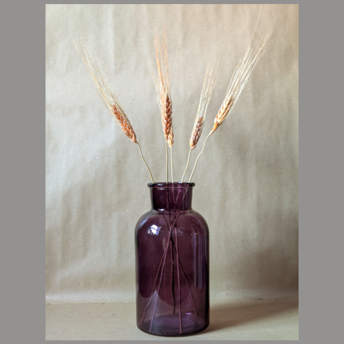 minimalist purple vase modern