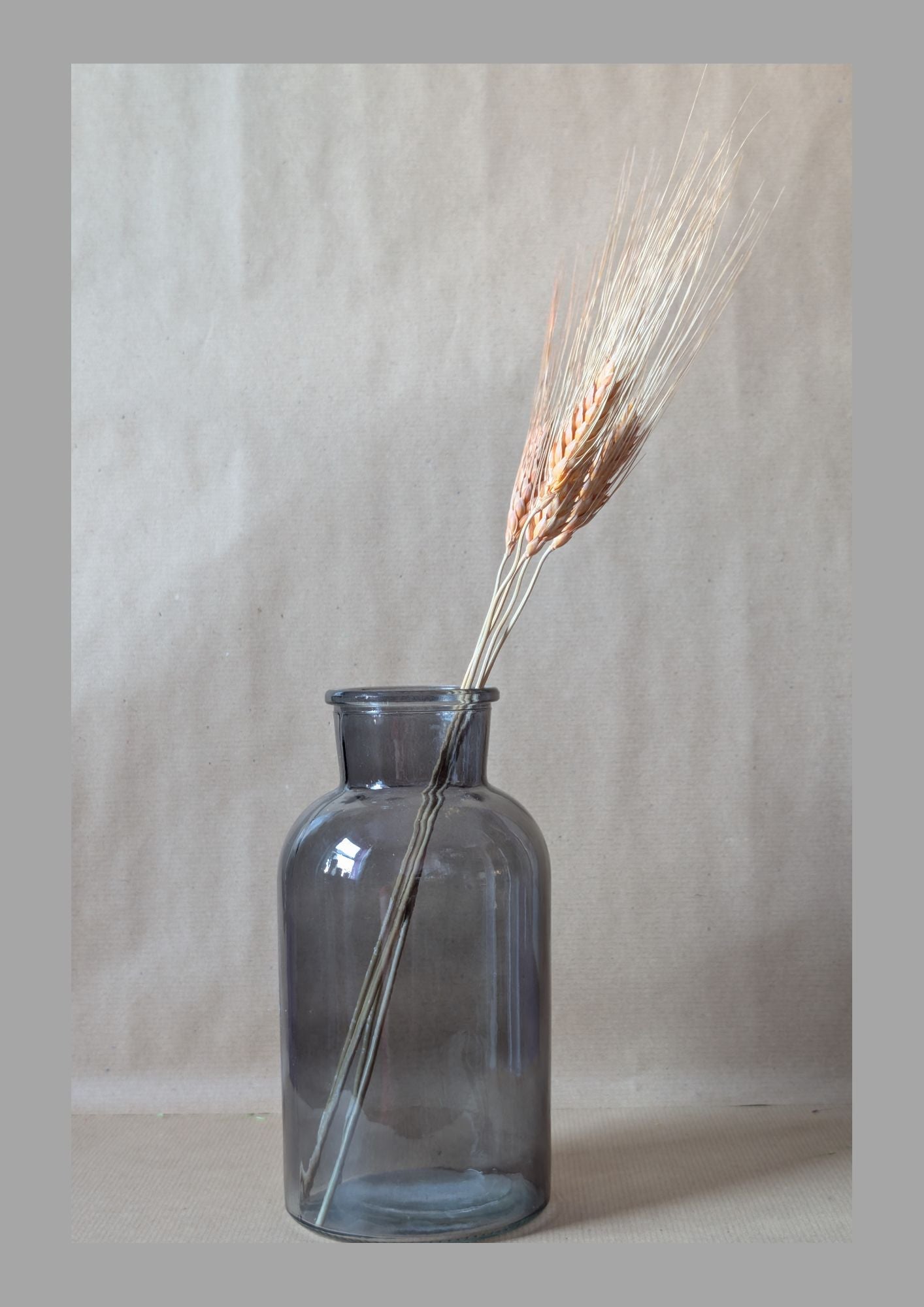 Gray glass vase with dried wheat against a neutral background
