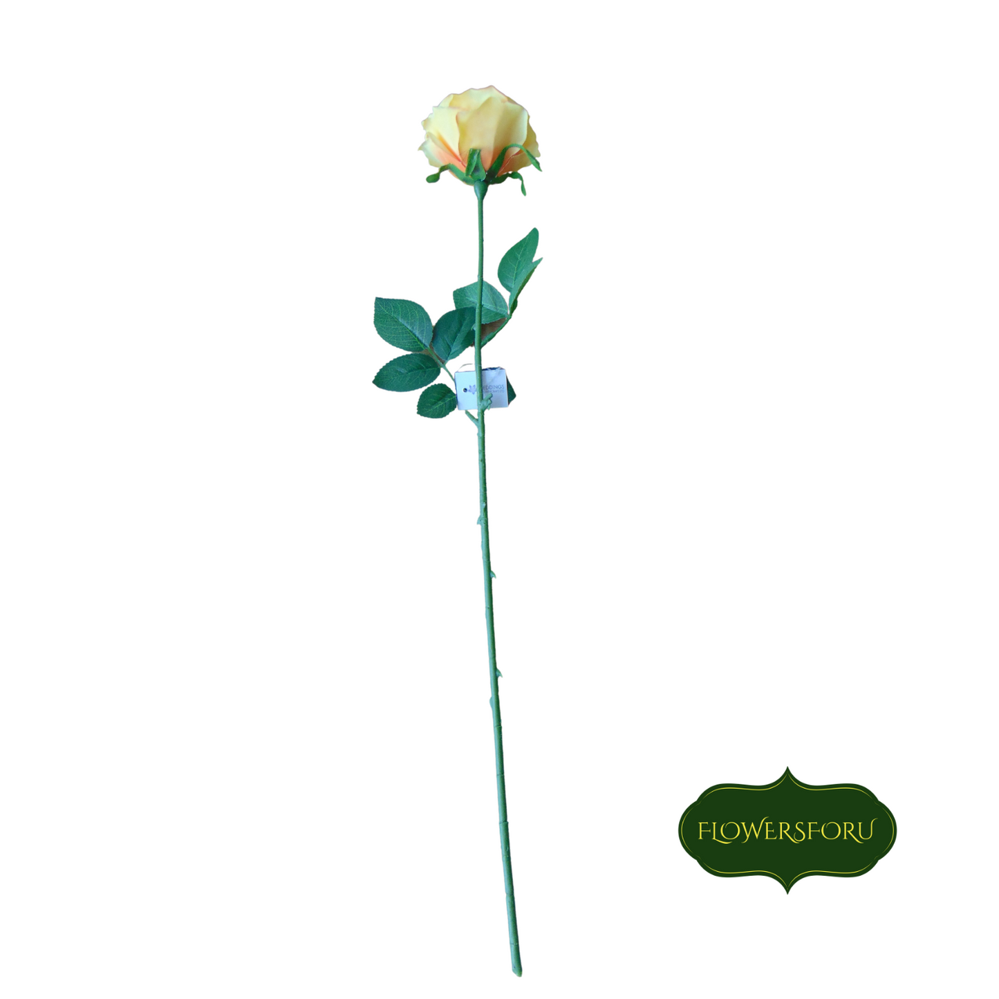 Rose flower stem green leaves orange saffron 66 cm long
