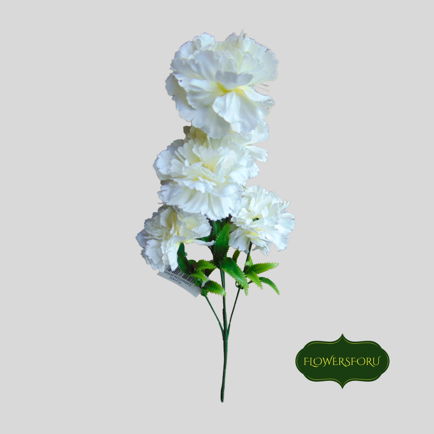 carnation white petals soft green flowers leaves 62cm long