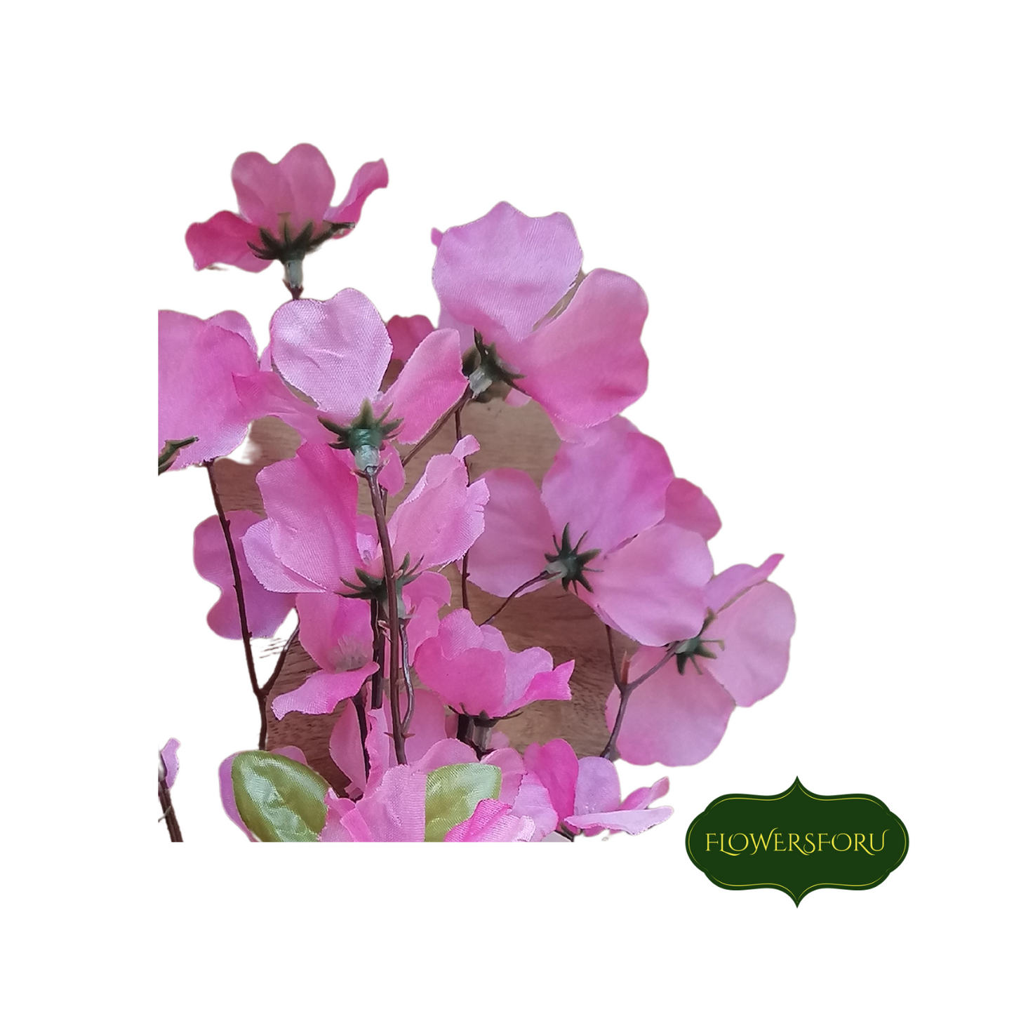 blush pink flower cherry blossom stem