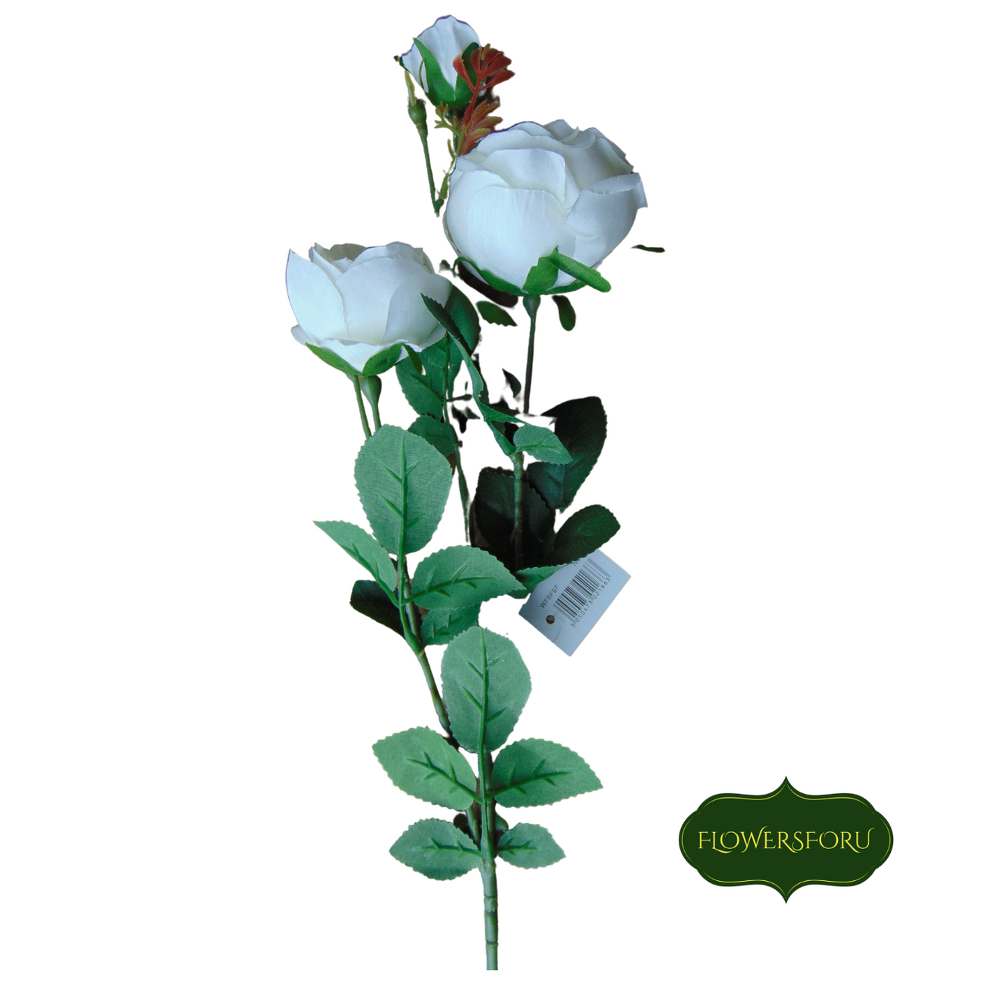 English Rose 68cm Ivory