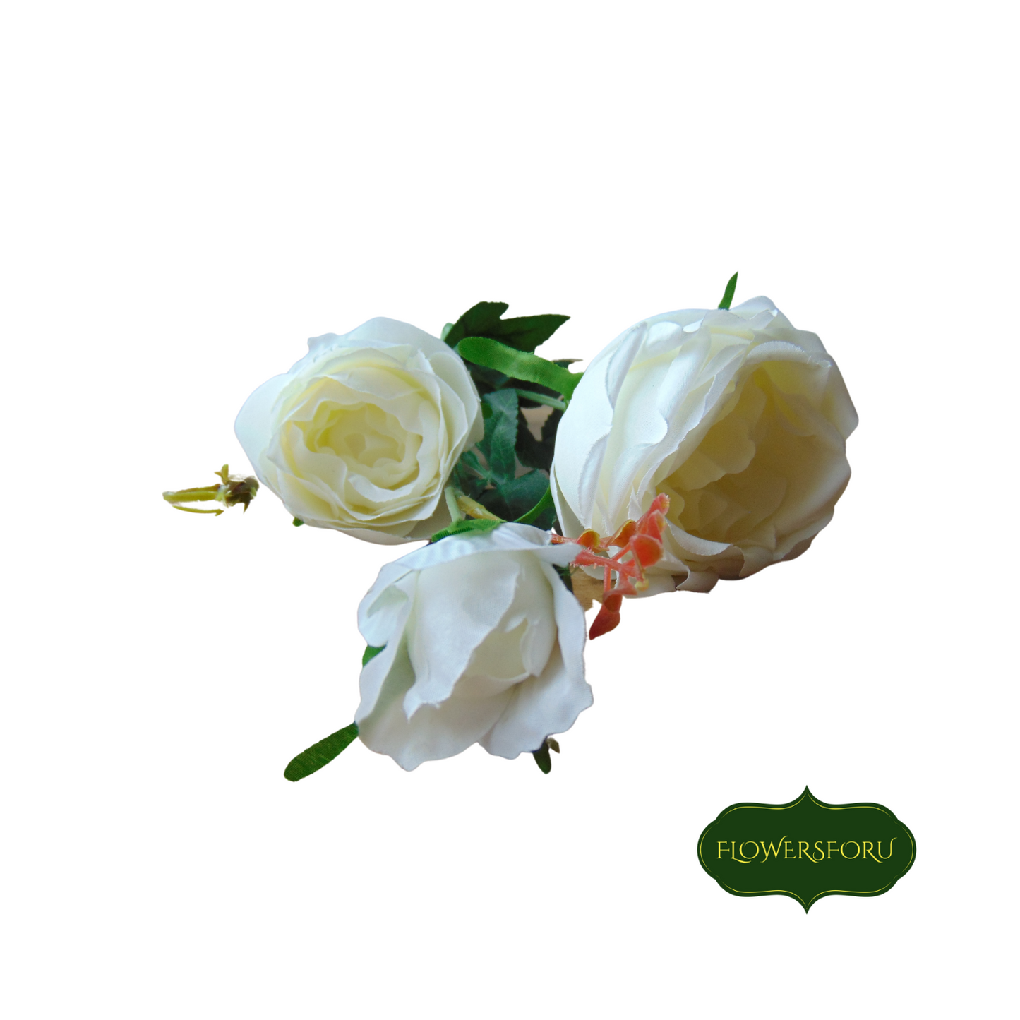 English Rose 68cm Ivory