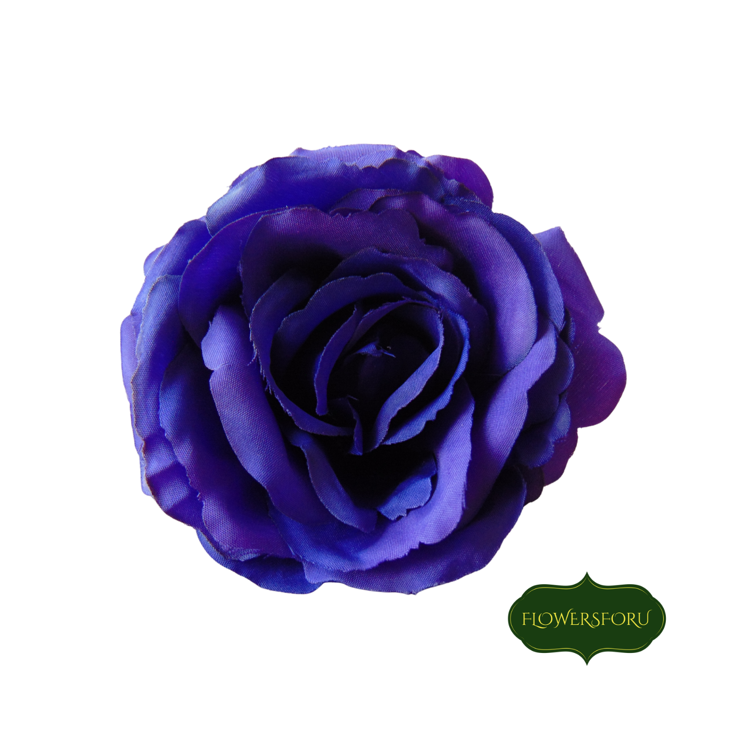 rose stem blooming purple green leaves 66 cm long