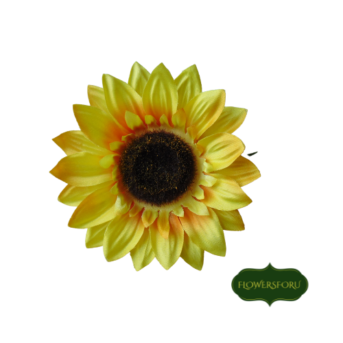 petals yellow orange sunflower 